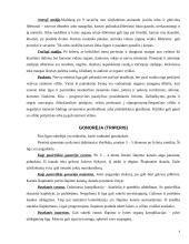 Venerinės ligos 4 puslapis