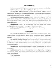 Venerinės ligos 5 puslapis