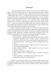 Verslo pradmenys 4 puslapis