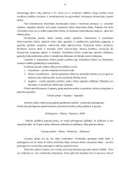 Verslo pradmenys 8 puslapis