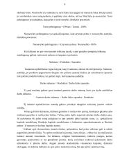 Verslo pradmenys 9 puslapis