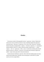 Verslas ir karjera 13 puslapis