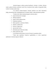 Verslo aplinka (konkurencingumo veiksniai) 10 puslapis