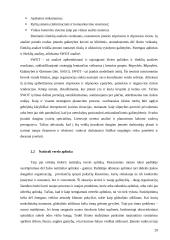 Verslo aplinka (konkurencingumo veiksniai) 19 puslapis