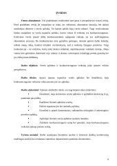 Verslo aplinka (konkurencingumo veiksniai) 5 puslapis