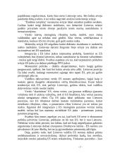 Verslo aplinka Lietuvoje 2 puslapis