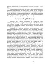 Verslo aplinka Lietuvoje 5 puslapis