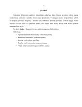 Verslo aplinkos ypatumai Lichtenšteine 5 puslapis