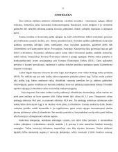 Verslo aplinkos ypatumai Lichtenšteine 6 puslapis