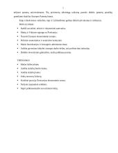 Verslo aplinkos ypatumai Lichtenšteine 7 puslapis