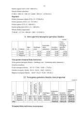 Verslo ekonomikos darbas 13 puslapis