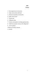 Verslo finansavimas 2 puslapis