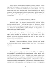 Verslo finansavimas 11 puslapis