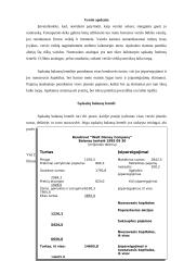 Verslo finansavimas 13 puslapis