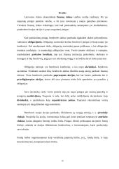 Verslo finansavimas 16 puslapis