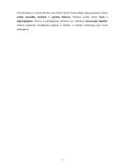 Verslo finansavimas 17 puslapis