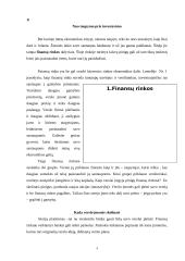 Verslo finansavimas 4 puslapis