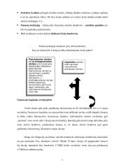 Verslo finansavimas 6 puslapis