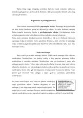 Verslo finansavimas 7 puslapis