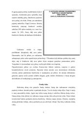 Verslo finansavimas 8 puslapis