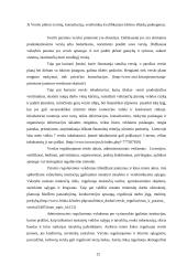 Verslo įmonių kūrimas 12 puslapis