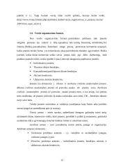 Verslo įmonių kūrimas 13 puslapis
