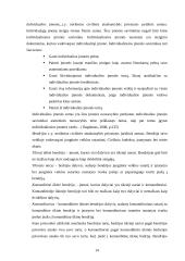 Verslo įmonių kūrimas 14 puslapis