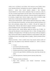Verslo įmonių kūrimas 15 puslapis
