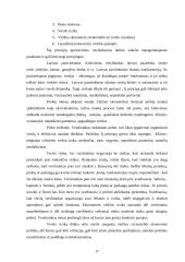Verslo įmonių kūrimas 17 puslapis