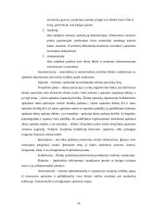 Verslo įmonių kūrimas 19 puslapis
