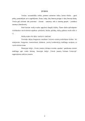 Verslo įmonių kūrimas 4 puslapis