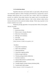 Verslo įmonių kūrimas 7 puslapis