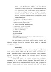 Verslo įmonių kūrimas 9 puslapis