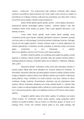 Verslo įmonių kūrimas 10 puslapis