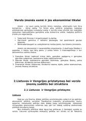 Verslo kūrimas Vengrijoje ir Lietuvoje 2 puslapis