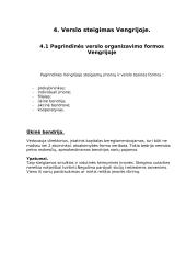 Verslo kūrimas Vengrijoje ir Lietuvoje 11 puslapis