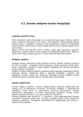 Verslo kūrimas Vengrijoje ir Lietuvoje 13 puslapis