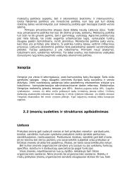 Verslo kūrimas Vengrijoje ir Lietuvoje 3 puslapis