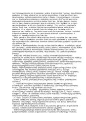 Verslo kūrimas Vengrijoje ir Lietuvoje 4 puslapis