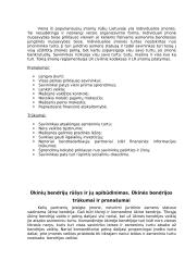 Verslo kūrimas Vengrijoje ir Lietuvoje 6 puslapis