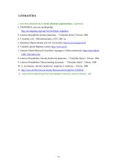 Verslo organizavimo formos su trumpais aprašymais 17 puslapis