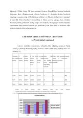 Verslo organizavimo formos su trumpais aprašymais 6 puslapis