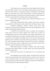 Verslo organizavimo formos, jų privalumai ir trūkumai 2 puslapis