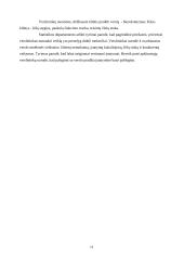 Verslo organizavimo formos, jų privalumai ir trūkumai 11 puslapis