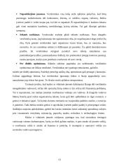 Verslo organizavimo formos, jų privalumai ir trūkumai 13 puslapis