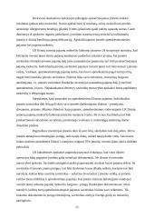 Verslo organizavimo formos, jų privalumai ir trūkumai 15 puslapis