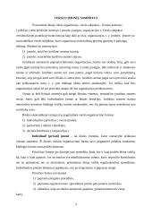 Verslo organizavimo formos, jų privalumai ir trūkumai 3 puslapis