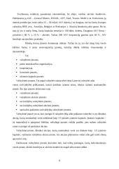 Verslo organizavimo formos, jų privalumai ir trūkumai 8 puslapis