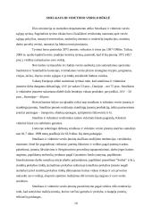 Verslo organizavimo formos, jų privalumai ir trūkumai 10 puslapis