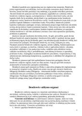 Verslo planas: augalų ir daržovių auginimas šiltnamiuose IĮ "Šernė" 13 puslapis